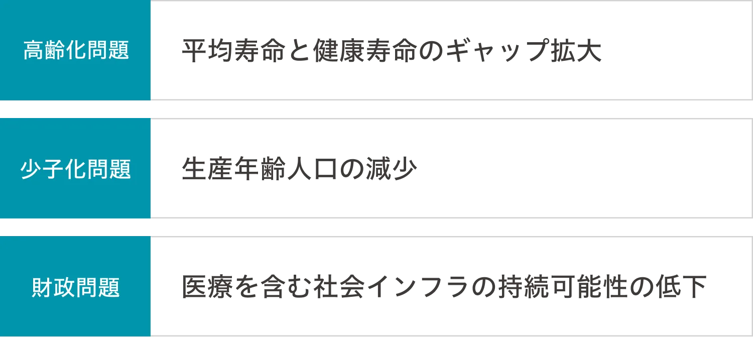 3つの社会課題の詳細、高齢化問題、少子化問題、財政問題